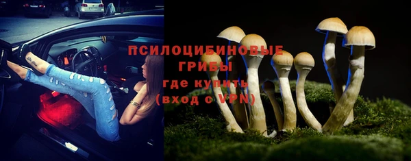 прущий лед Арсеньев