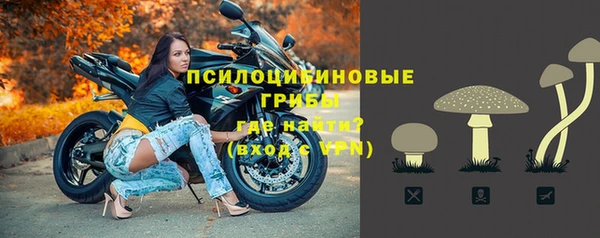 прущий лед Арсеньев