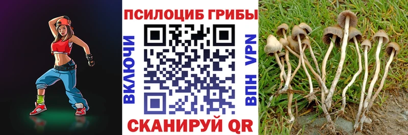 Псилоцибиновые грибы прущие грибы  Байкальск 